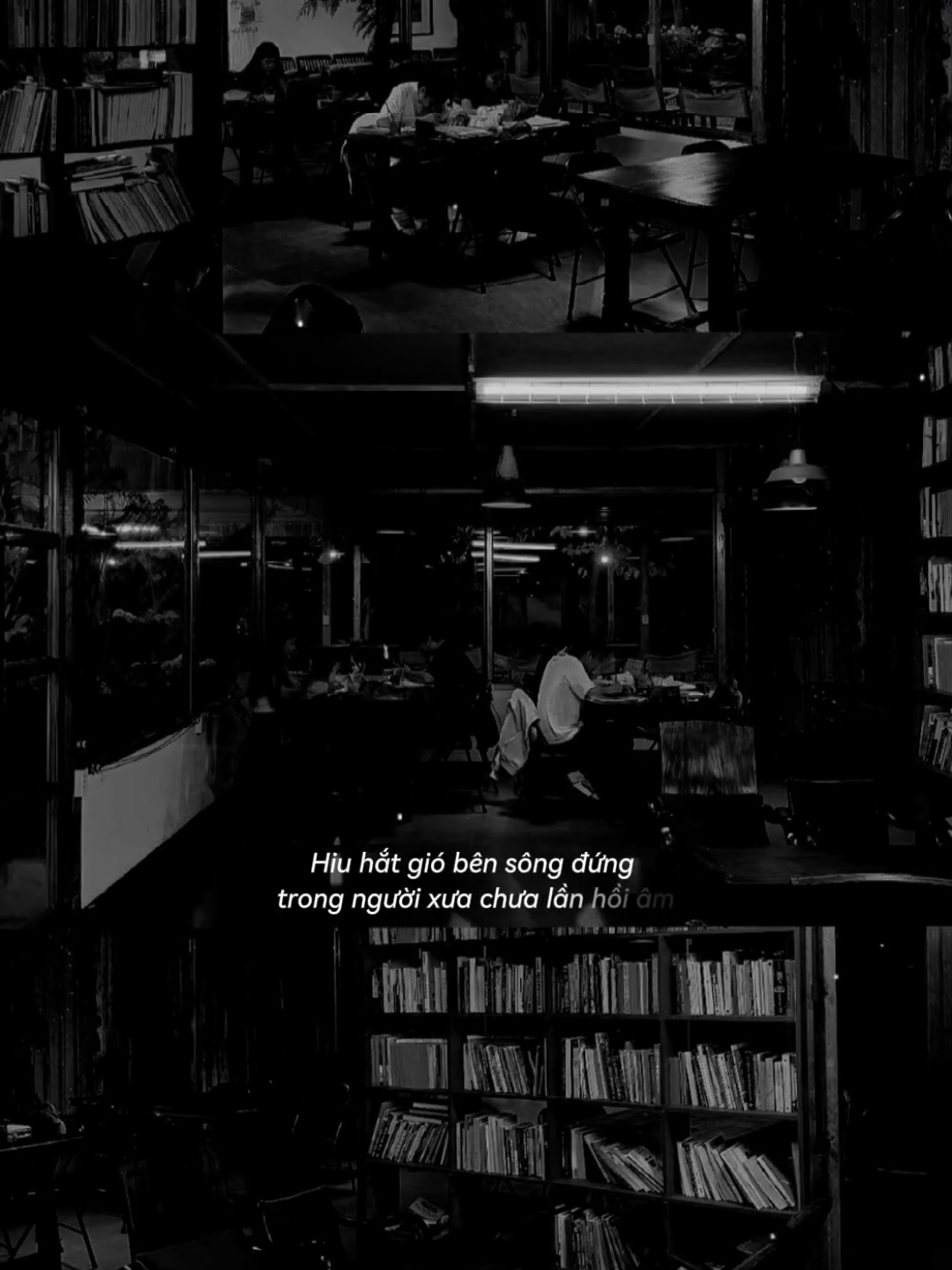 Xin gửi đến người tôi thương #lomotloithuong #remix #nhachay #sbtentertainment #CapCut 