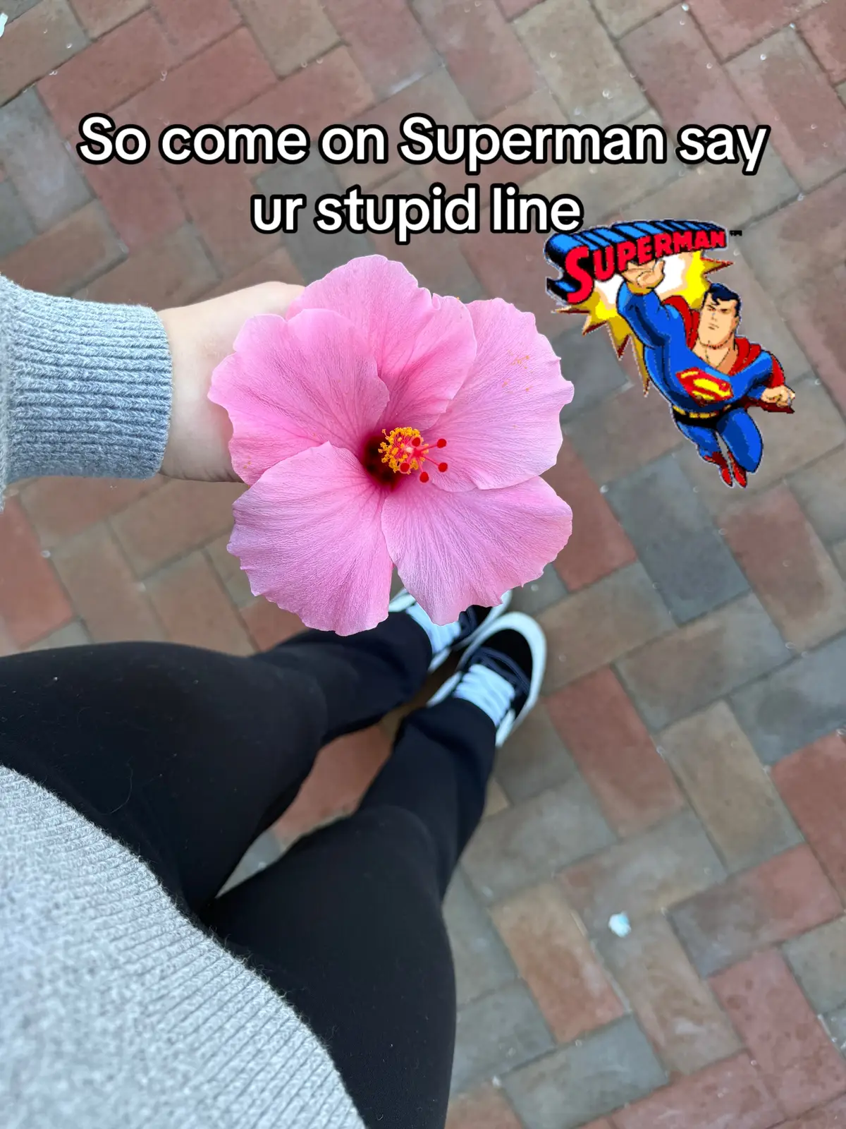 #sorry #fyp #for you page 