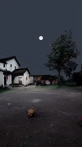 #عبد_الودود_مقبول_حنيف 