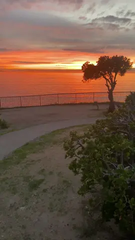 Your ways are better God I trust your plan#amen #BELIEVE #BLESSED #jesus #FORYOU #viral #FAITH #fyp #foryoupage #foryoupageofficiall 