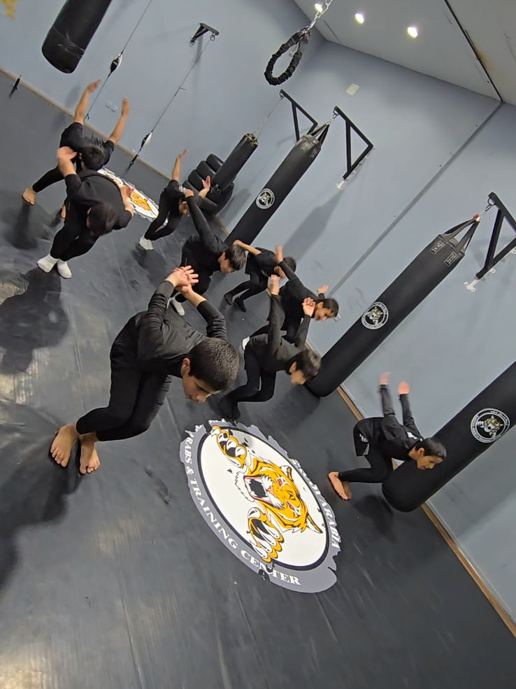 #المورث_الشعبي #خميس_مشيط_أبها #فنون_الدفاع_عن_النفس @kuksool arabs 🇸🇦 