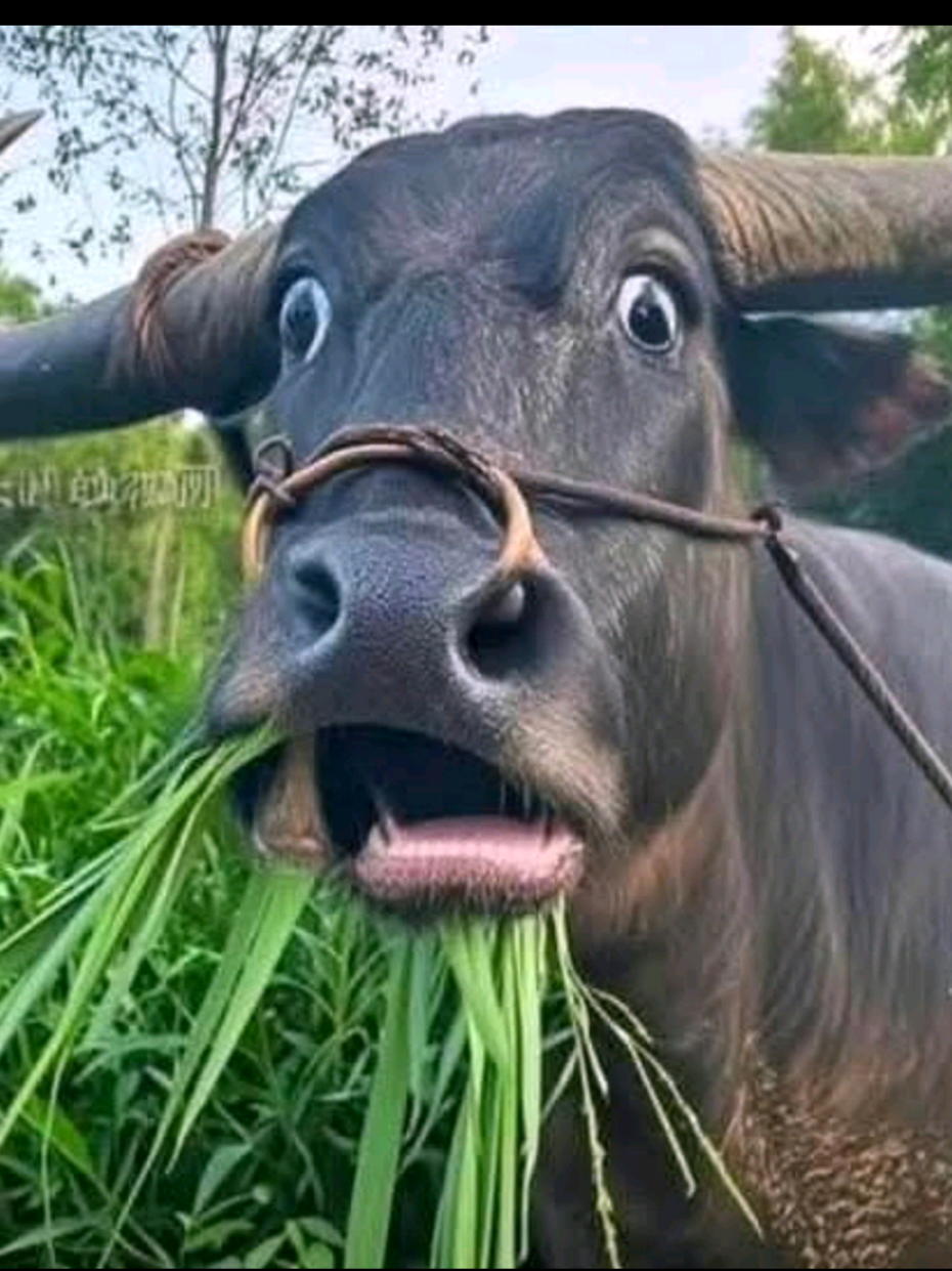 #tiktokmyanmar #ရောက်ချင်တဲ့နေရာရောက်👌 #ရောက်စမ်းfypပေါ် #မင်းတို့ပေးမှ❤ရမဲ့သူပါကွာ #မြင်ပါများပီးချစ်ကျွမ်းဝင်အောင်လို့🤒🖤 