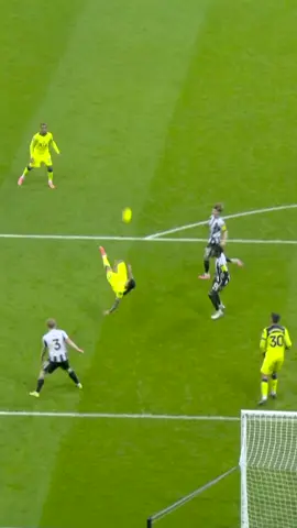 Cristian Romero. Bicycle kick. Wow. 🤯 @spursofficial #PremierLeague 