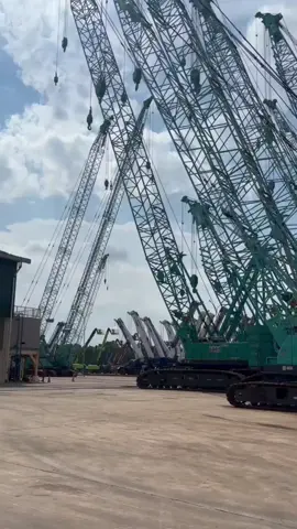 Informasi Lebih Lanjut Klik link di Bio 👌🇯🇵🇮🇩 #berlianamalperkasa #rentalalatberat #construction #rental #alatberat 