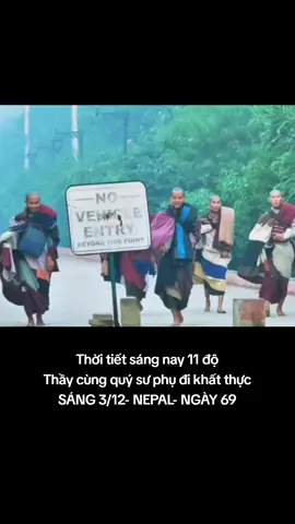 Thầy cùng các sư phụ Minh Tịnh, Minh Thiện, An Nhiên, Minh Khổ #xuhuong #thichminhtue #gaimienque ☘️🌸