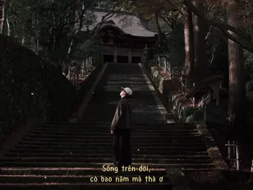 Nhạc chữa lành tâm hồn #capcut #capcutpioneer #pioneertemplate