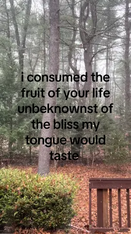 so may i feed you my affection even when you’re not hungry? #yearning #poem #poetry #iloveyou #foryoupage 