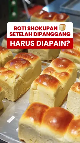 ROTI SHOKUPAN SETELAH DIPANGGANG HARUS DIAPAIN? 🍞 nihh buibuu shokupan atau roti lainnya setelah keluar dari oven harus langsung keluarkan dari loyang, lalu dinginkan di cooling rack biar uapnya keluar dan teksturnya tetap lembut