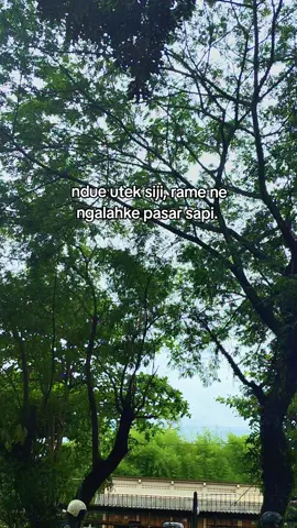 #rujakeskrimkangman #rujakeskrimjogja #story #jawapride 