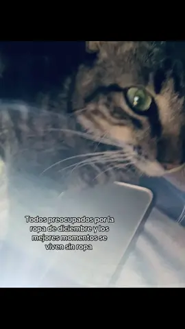 #viraltiktok #parati #foryou #greenscreen #greenscreen 