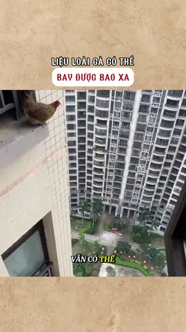 #giaitri #fyp #kienthuc 