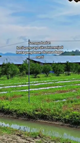 💪#tayogacor🔥 #Galerychiken #fypppppp #viraltiktok #gorontalopride🏝️ 