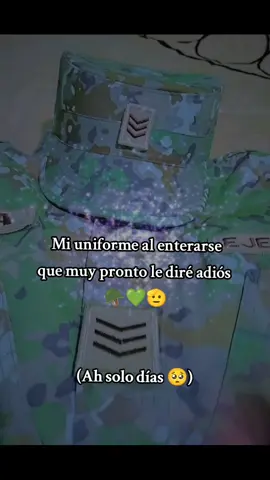 #Ene24💚💂🏻‍♀🇵🇪 #ejercitodelperu🇵🇪 #Orgullo 