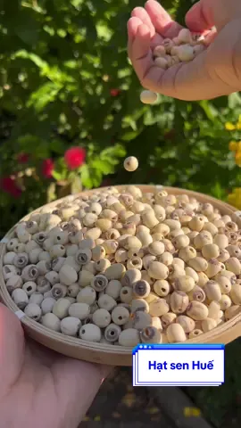 Hạt sen Huế dẻo bùi thơm ngon và giàu chất dinh dưỡng @Bếp Sữa Hạt Ngọc Ánh  #hatsen #chesen #hatsenkho 
