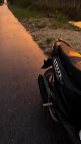 #greenscreen #foryou #sunset 