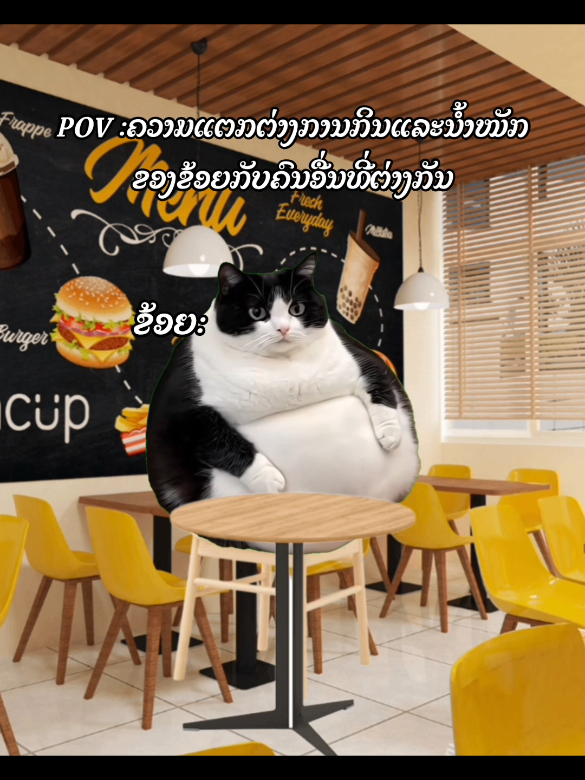 555#เทรดวันนี้ #LearnOnTikTok #ຟີດດດດດດດດ #ໄວລຸ້ນໂຄໂດໂມະ #fyp #foryoub 