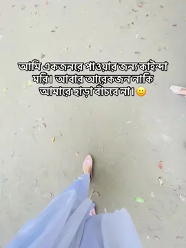 এইসব পোলাপান'রে না পিডাইয়া ভাত খাওয়া যাবে না।🥲  #bvrry_2 #trending #foryoupage 