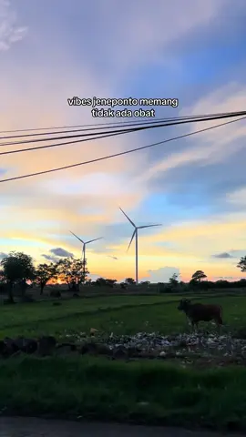 #pltbjenepontofyp #sunset #jeneponto 