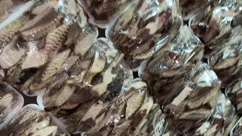 kita menerima pesanan ketring jga ya😋💸 #pindangcaringin#caringinbandung #bakolikan