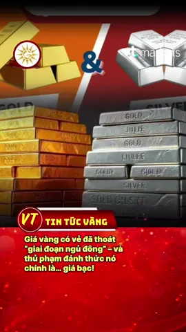 Giá vàng có vẻ đã thoát “giai đoạn ngủ đông” – và thủ phạm đánh thức nó chính là… giá bạc!#t#tinhotg#giavanghomnayt#tiktoknewsv#vtmarketsdongchayvang