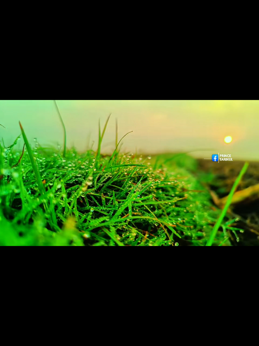 শীতের সকালে শিশির ভেজা কুয়াশার মাঝে হাঁটার অনুভূতিটা শুধু গ্রামের ছেলে মেয়েরাই বুববে