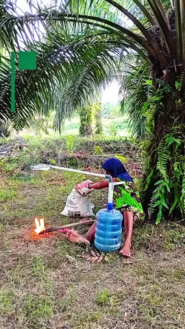 #promomakanharian #komedikocak #komikvideolar #komeditiktok 