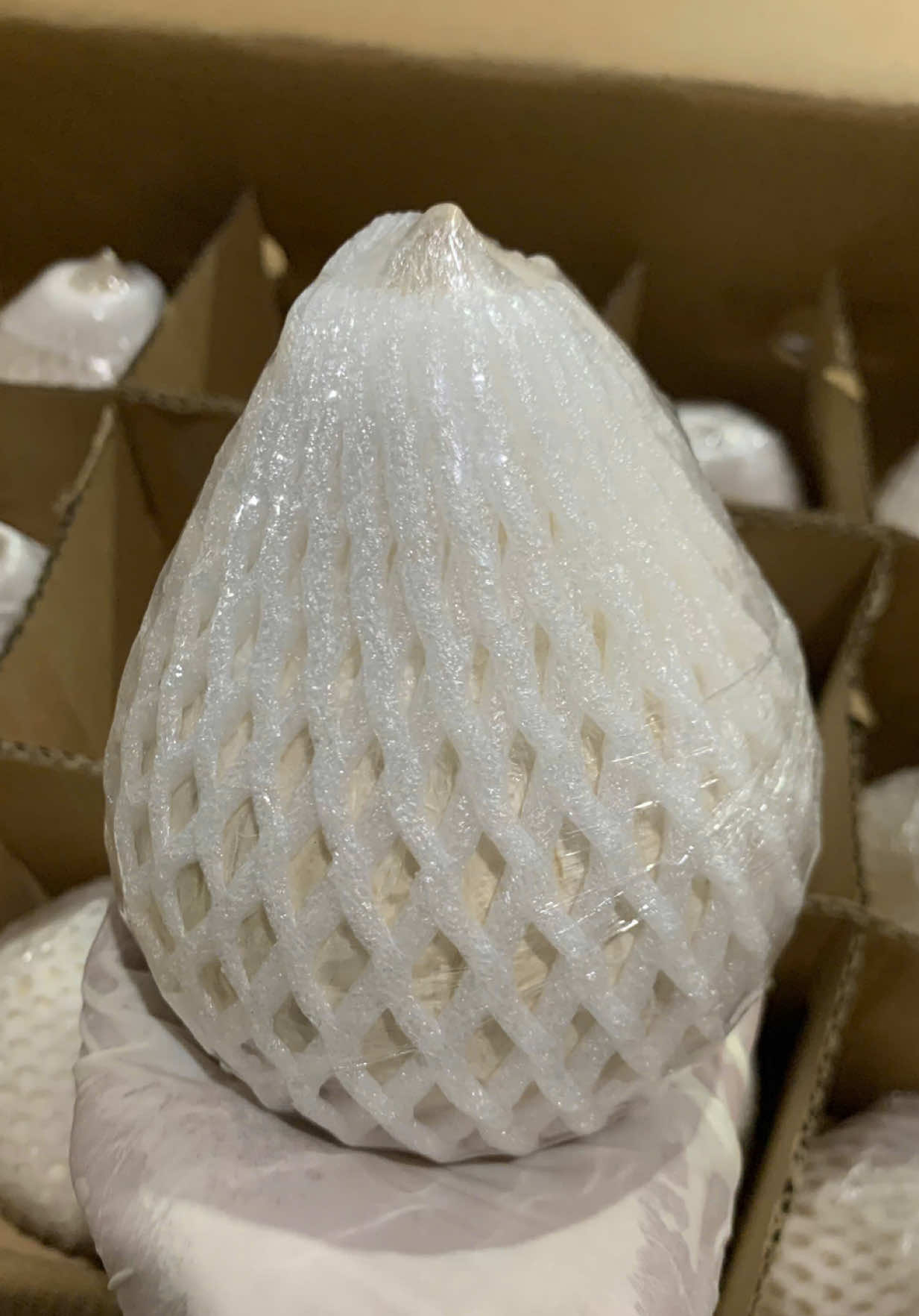 Dừa trọc đi Hàn Quốc #korea #coconut #vietnamcoconut #export #agriculture 