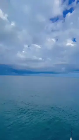 #cantrangtegal #tegallakalaka 