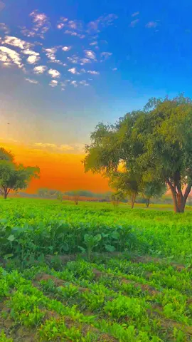 #فوزیاسومرو😔🥹❤️ #unfrezzmyaccount🙏🙏🙏 #sindhisong🥀 #5millionviews #fypシ゚viral🖤tiktok☆♡🦋myvideo 