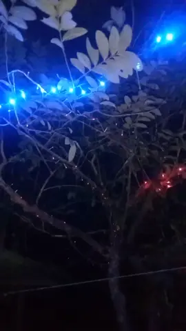 Bonitos malos recuerdos🥹😓#😫 #😢 #recuerdos #niñez #lucesnavideñas 