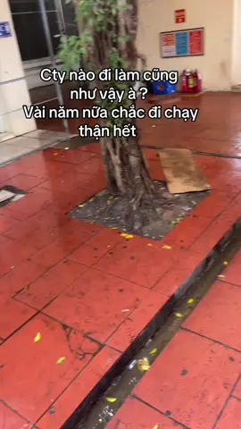 Nhìn sợ vl#xuhuong 