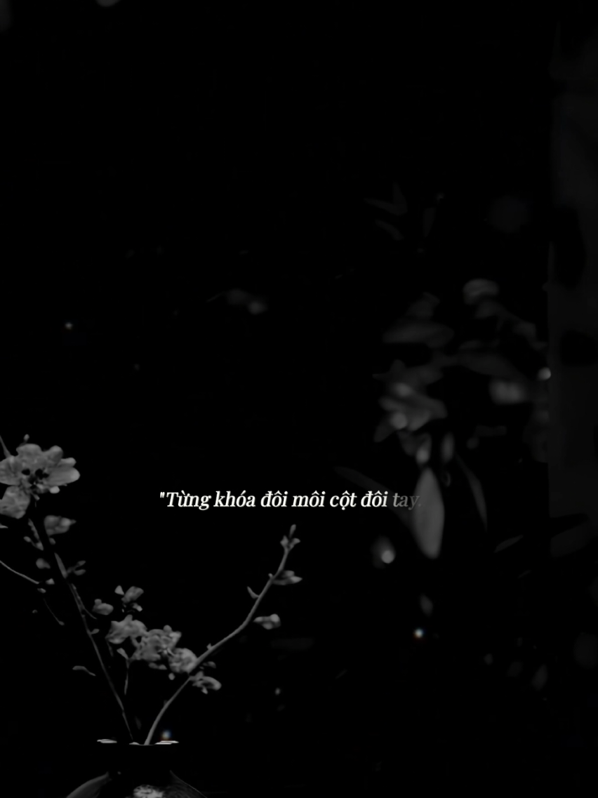 Từng khắc tên nhau vào trong tim #nhachaymoingay #sbtentertainment #huyenthanh04🌈 #CapCut 