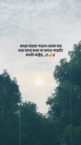 কারো মায়ায় পড়লে বোঝা যায় তার কথা না বলতে পারাটা কতটা কষ্টের...!!😅❤️‍🩹#foryou #caption #lovecaptions #banglacaption #trending 