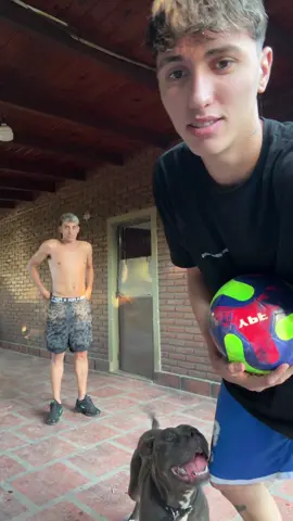 ig: thomiigarcia_ #paratii #fyp #perros #pitbull #medio 