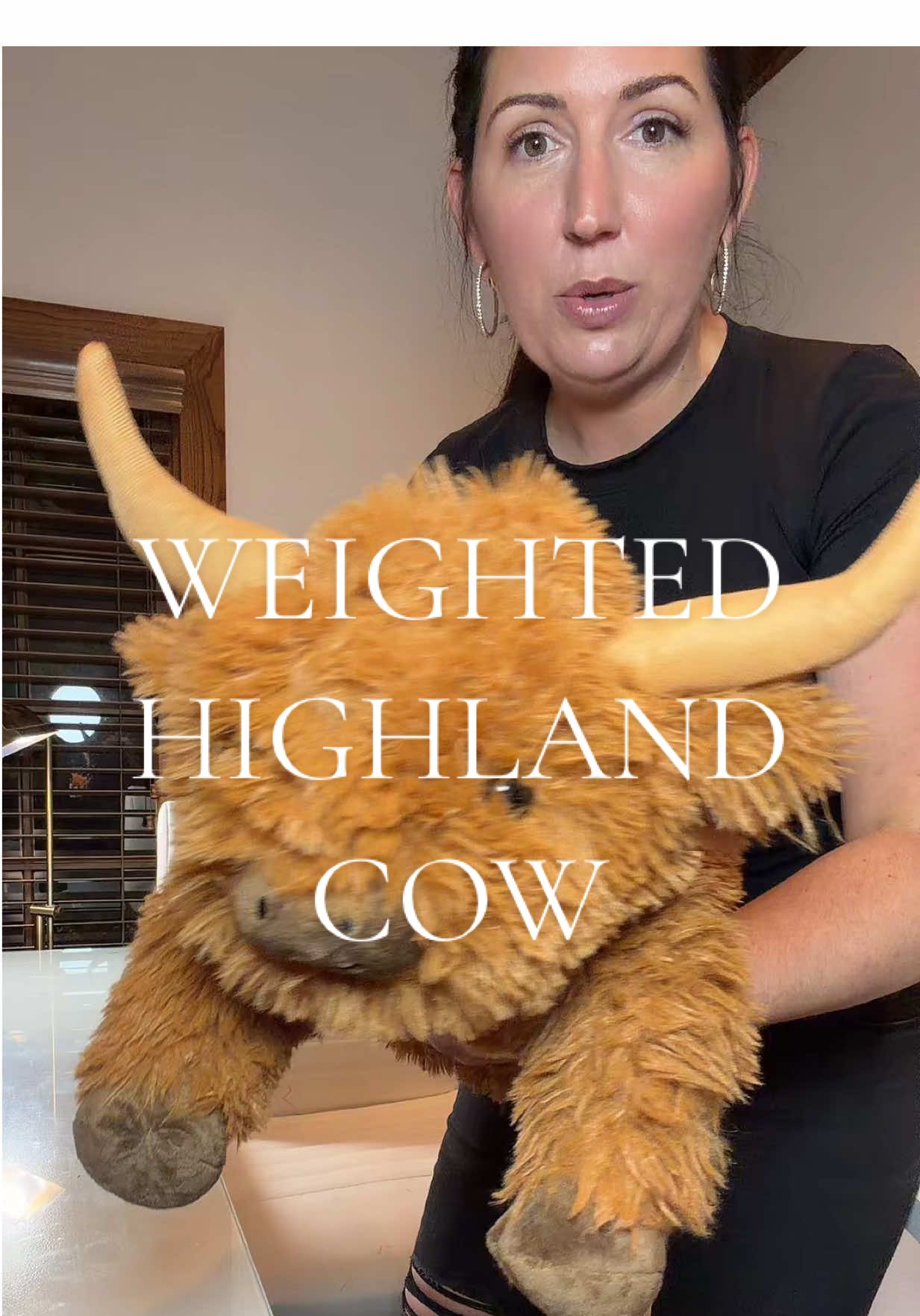 Who doesn’t love a weighted highland cow?! #highlandcow #highlandcows #weightedstuffedanimal #tiktokshopholidayhaul #giftsforkids 