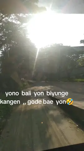 bali  yon