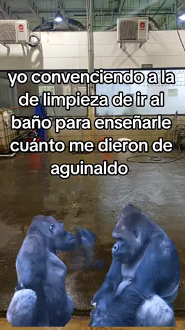 #Meme #MemeCut #CapCut #🤣🤣🤣 #😎 