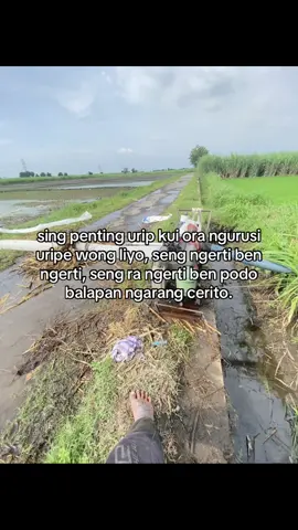 #petanimuda #fyp #masukberandafyp 