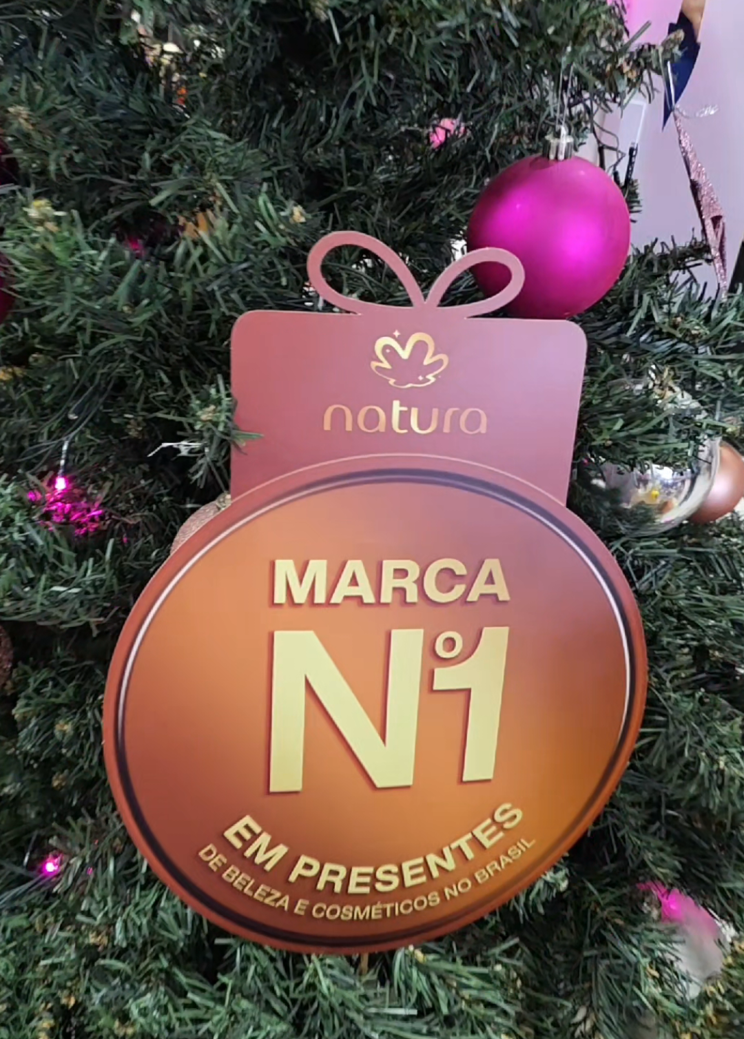 Encerrando 2025 com um encontro inspirador entre consultores Natura e Avon! 🌿✨   Foi um dia de aprendizado, novas experiências, kits incríveis e muita energia boa para começar 2026 com tudo! 🚀💚   #ConsultoresNatura #AvonBrasil #Treinamento #EnergiaRenovada #RumoA2026  @Naturabr @Consultoria Natura e Avon 