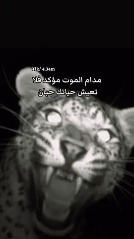 مدام الموت مؤكد فلا تعيش حياتك جبان👏🏻. #قصايد_شعر_خواطر #اكسبلور_تيك_توك #مشاهير_تيك_توك #الشعب_الصيني_ماله_حل😂😂 #fyp 
