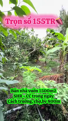 Trọn sổ 155TR. LH e liền nha #batdongsan #nhavuongiare #nhadatgiare #nhavuonnghiduong #xuhuong 