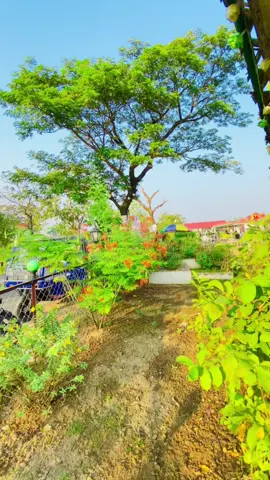 বিষম্ভুপুরে প্রকৃতির সুন্দর পার্কের সুন্দর একটা দৃশ্য আপনারা সুনামগঞ্জ যাওয়ার পথে সবাই এসে ঘুরে যাবেন@For You @TikTok Bangladesh 