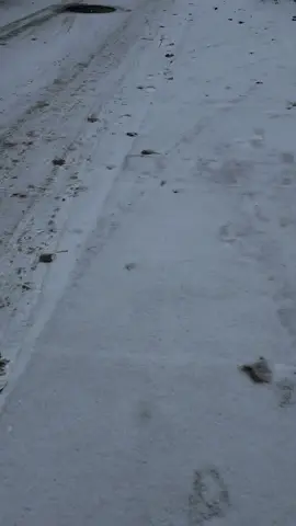 Hayeee 🌨️❄️🥺#noorfatima5614 #foryoupage #viralvideo #canada_life🇨🇦 #weather 