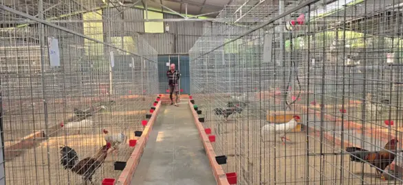 Cảm ơn người ae đã đến giao luư chia sẽ kinh nghiệm.