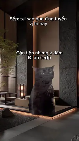 #vuinhon #haihuoc #meo #mememeo #dethuong