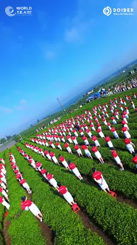 Một trong những điểm nhấn đặc sắc trong khuôn khổ WORLD T.E.A FEST 2025 chính là tiết mục đồng diễn pha trà theo phong cách Việt Trà Thức, được thực hiện bởi 1111 Trà Nương – màn trình diễn nghệ thuật lần đầu tiên xuất hiện tại Việt Nam 🇻🇳  #tranuong #worldteafest2025 #doidep #khongthethieunhau #vietnam 