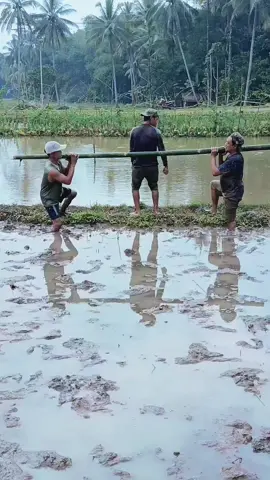 kena apes lg paman🤣🤣🤣 #kreator_jaill 