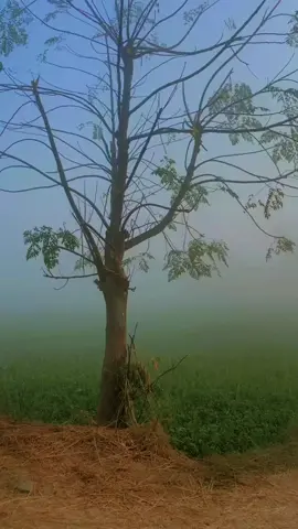 Village morning 💨💨🌬️🌬️#mylifemystyle😎😎 