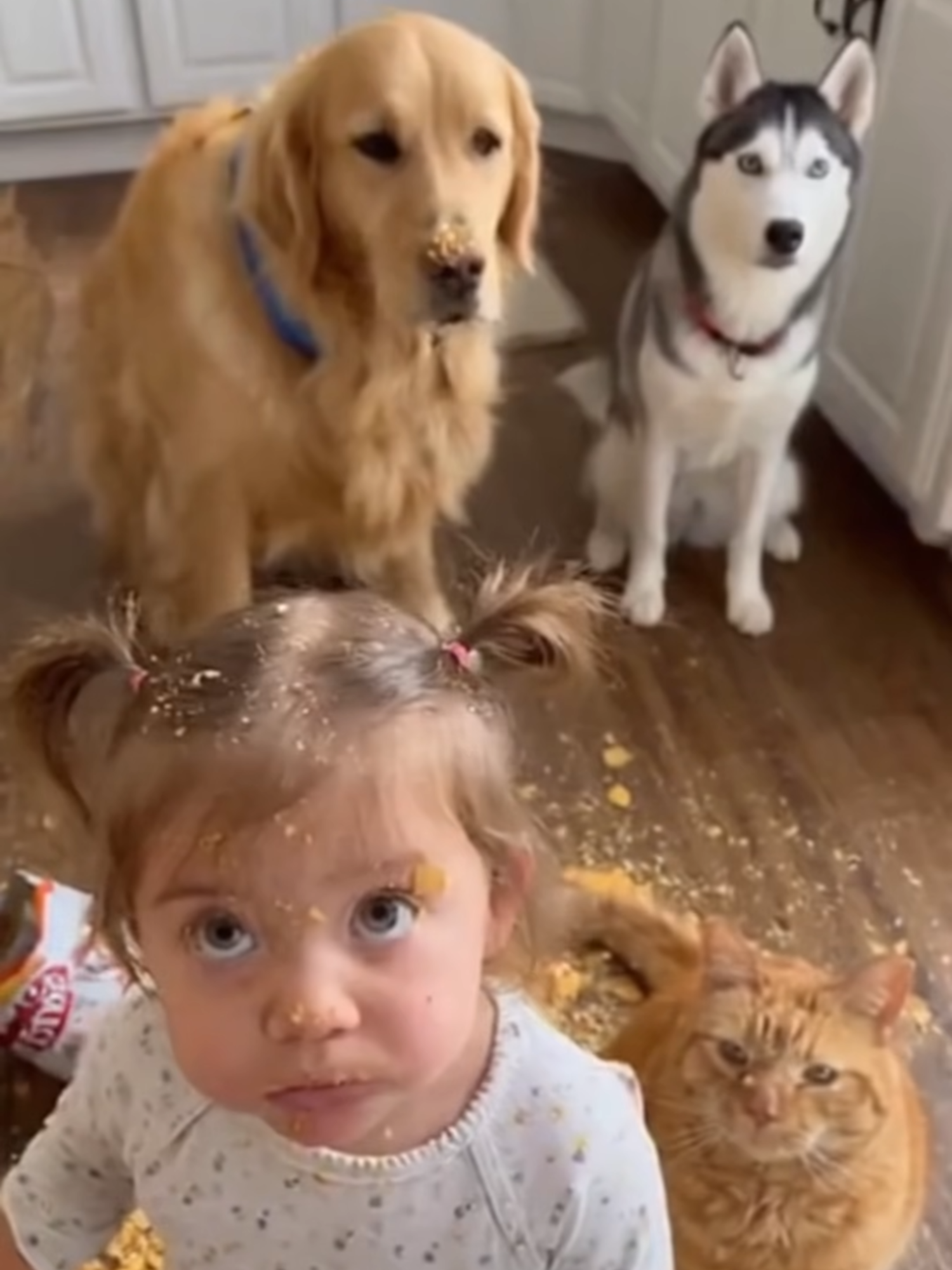 Kitchen chaos! And guess who they blame? The baby! 👶😅🐾🍝💥 😂 100% AI video for fun & laughs! Every scene is digitally created — no real animals, babies, or people. 🐾 Enjoy and share!  #AIreel #AIfunny #AIanimals #AIfun #CreativeAI #AIvideo #AImagic