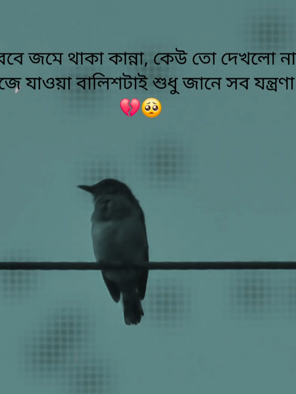 💔🥺 #foryou #tiktokviral #fyp #its_your_asraful_02 #unfrezzmyaccount🙏 